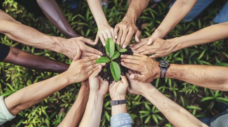 Dertien handen houden een hoopje aarde met een groen plantje vast, symbool voor duurzaamheid